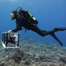 Scripps diver photographs coral reef to produce photomosaic and 3D models with help from CSE and CHEI partmers.