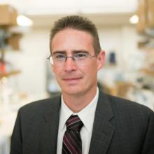 CSE and Pediatrics professor Rob Knight shares in Massry Prize for microbiome research advances.