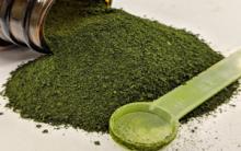 Algae Shown to Improve Gastrointestinal Health